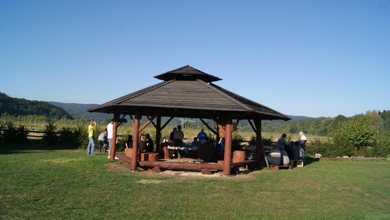 Domki Nad Sanem Лєско Екстер'єр фото